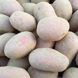 [ALOUE28] Pomme de terre Alouette