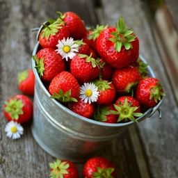 [P4211492] Fraisier Elegance
 Plant en pot de 9x9x10 cm