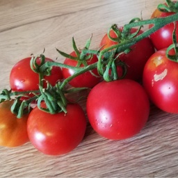[S78117] Tomate Corma (semence)