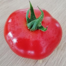 [S78362] Tomate Rondobella (semence)