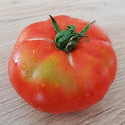 [S78382] Tomate rouge de Gand (semence)