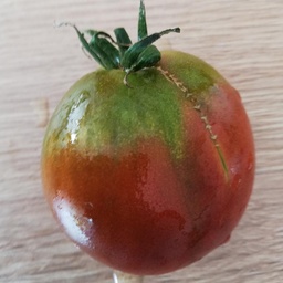 [S78935] Tomate  noire Zigan (semence)