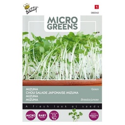 [B80340] Microgreens Mizuna green (Semences)