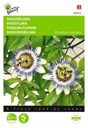 [B5555] Passiflore à fleur bleu étoilée (Semences)