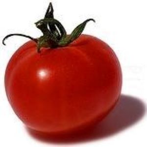 [S78166] Tomate Fandango F1 (semence)