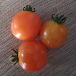 [S79502] Tomate cerise jaune Ambrosia orange (semence)