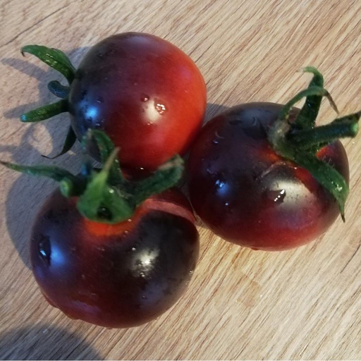 [S79710] Tomate cerise noire Dancing with Smurfs (semence)
