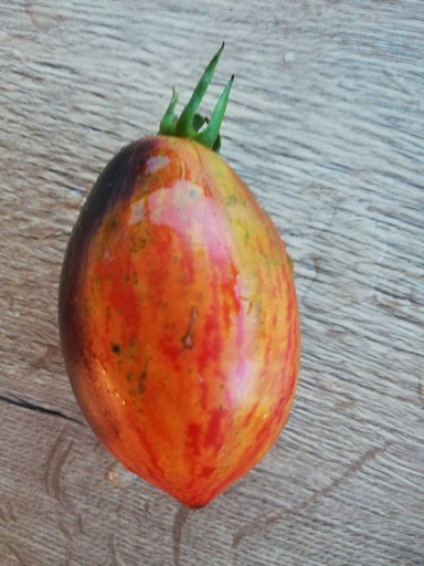 [S78927] Tomate  noire Gargamel (semence)