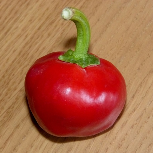 [S65358] Piment fort Hot Tomato (semence)