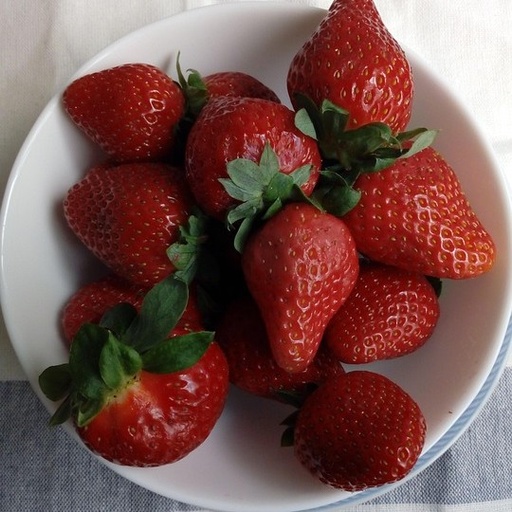 [P4210292] Fraisier Cabrillo

 Plant en pot de 9x9x10 cm