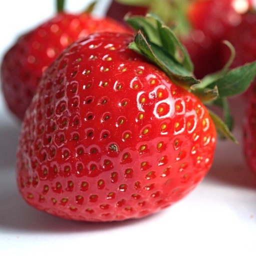 [P4222092] Fraisier Vima Zanta

 Plant en pot de 9x9x10 cm