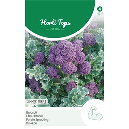[H2237] Chou brocoli Summer Purple (Semences)