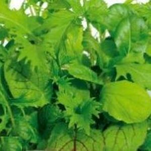 [R0187] Laitue à couper mélange de variétés italiennes (Semences)