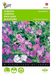 [B5292] Aubrieta grandiflora (Semences)