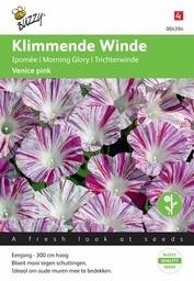 [B4394] Ipomée Venice Pink (Semences)