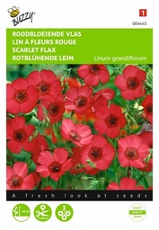 [B4445] Lin à grandes fleurs rouge (Semences)