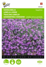 [B4460] Lobelia Pendula Sapphire (Semences)