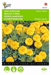 [B4775] Oeillet d'Inde Petite Yellow (Semences)