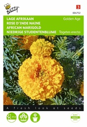 [B4752] Rose d'Inde Golden Age (Semences)