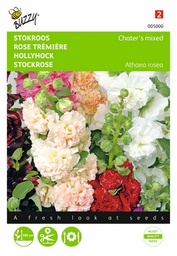 [B5000] Rose Trémière à fleur double (Semences)