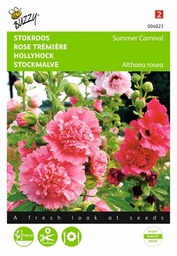 [B4023] Rose Trémière Summer Carnival (Semences)