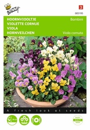 [B5195] Violette Cornue Bambini (Semences)