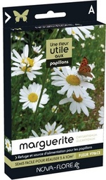 [N25621] Marguerite utile aux Papillons (Semences)