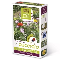 [N25182] Prairie fleurie - Pucerons (potager) (Semences)
