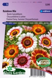 [R5295] Chrysanthème à carène (Semences)